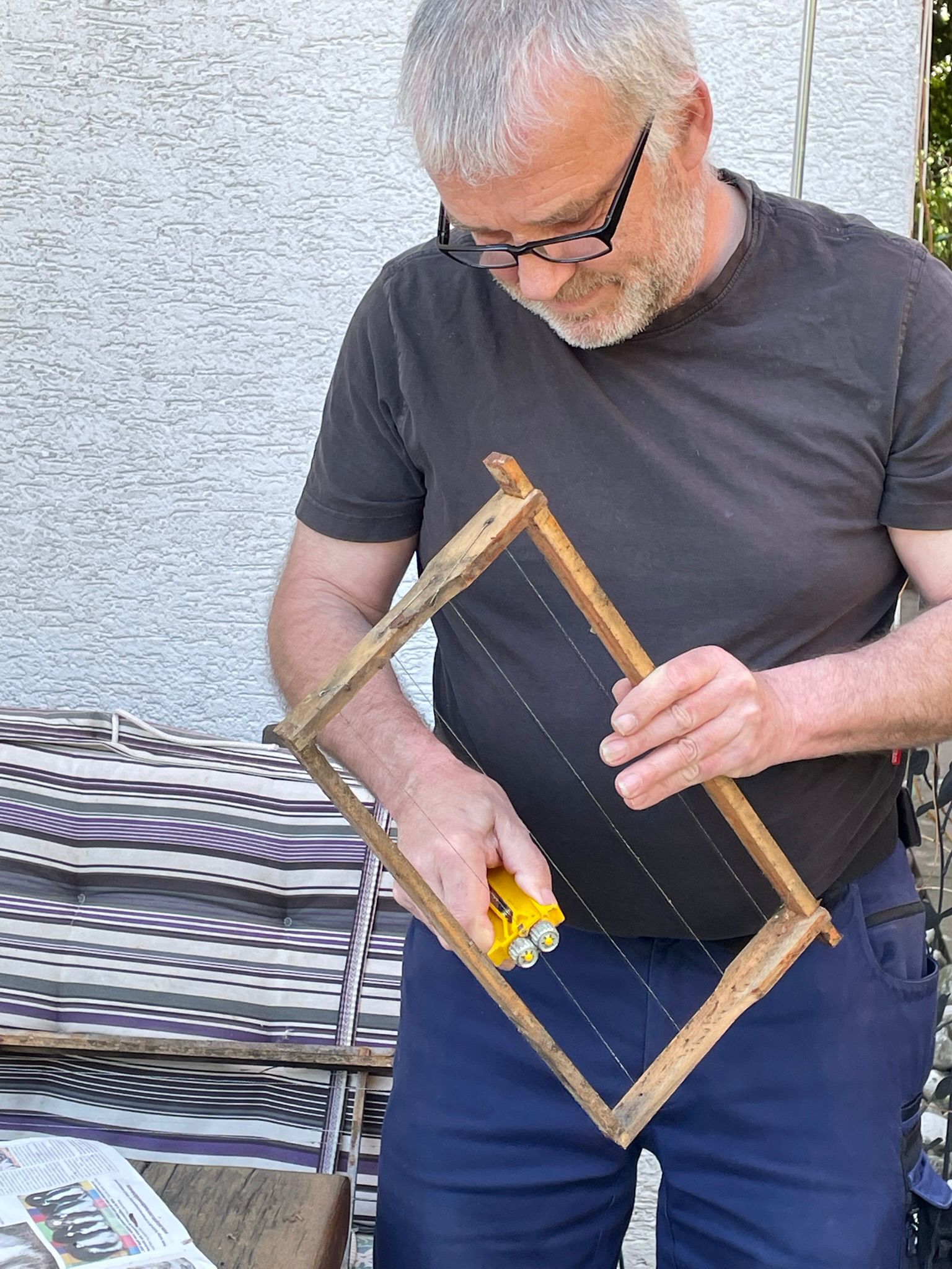 Bienen auf Wiese